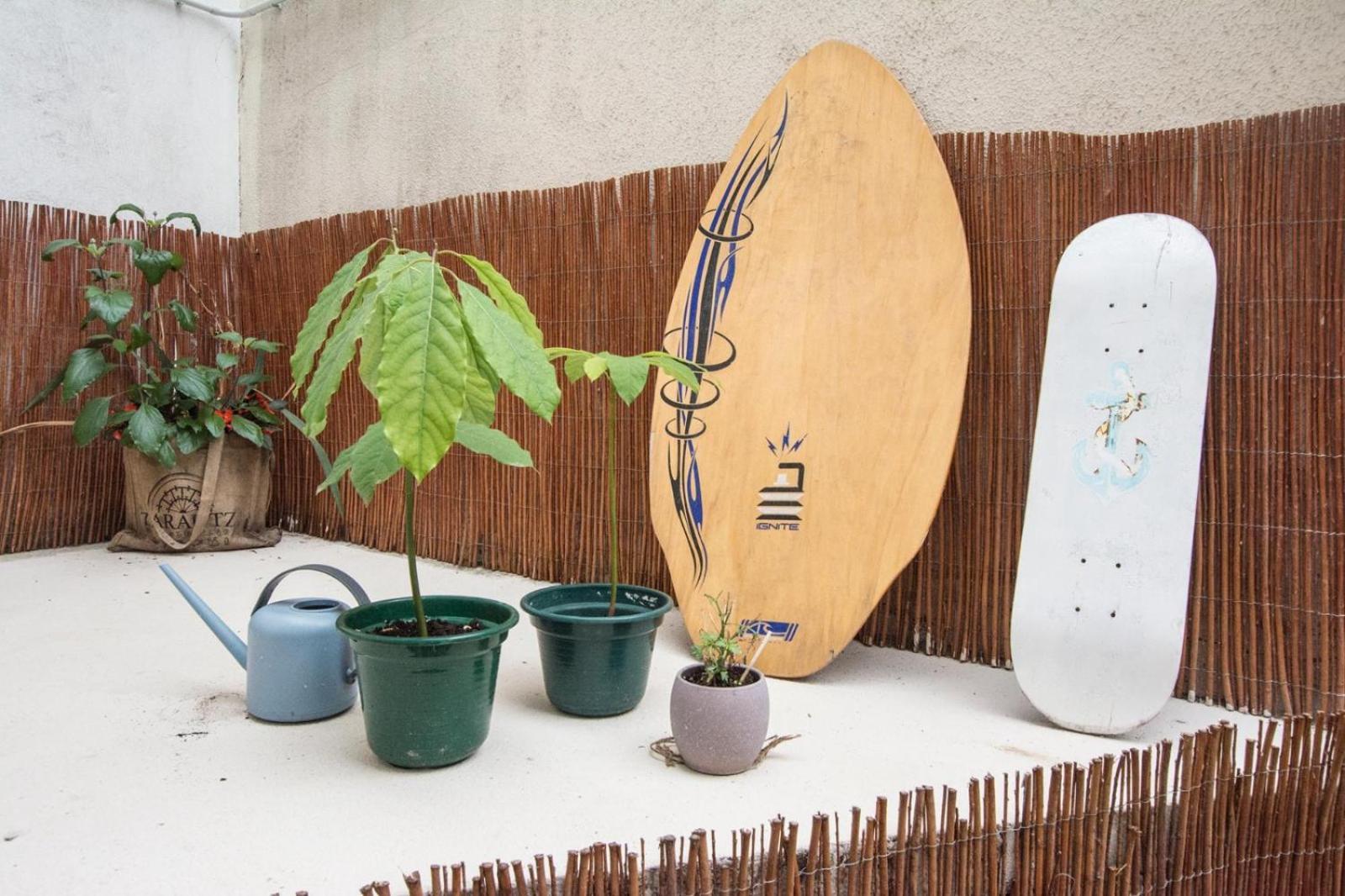 Altzoan Zarauz Tourist Apartments Con Aparcamiento Gratis Luaran gambar