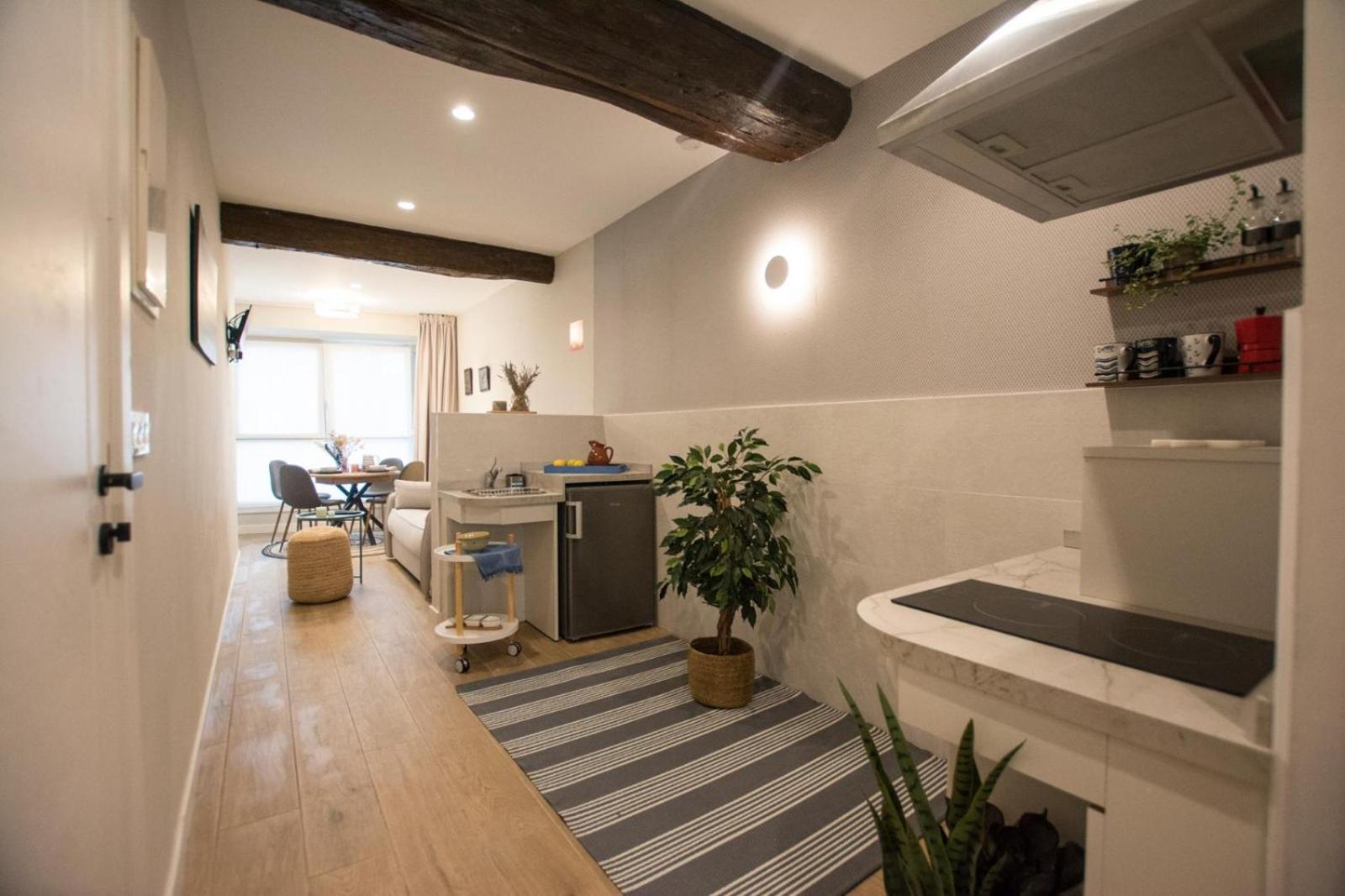 Altzoan Zarauz Tourist Apartments Con Aparcamiento Gratis Luaran gambar