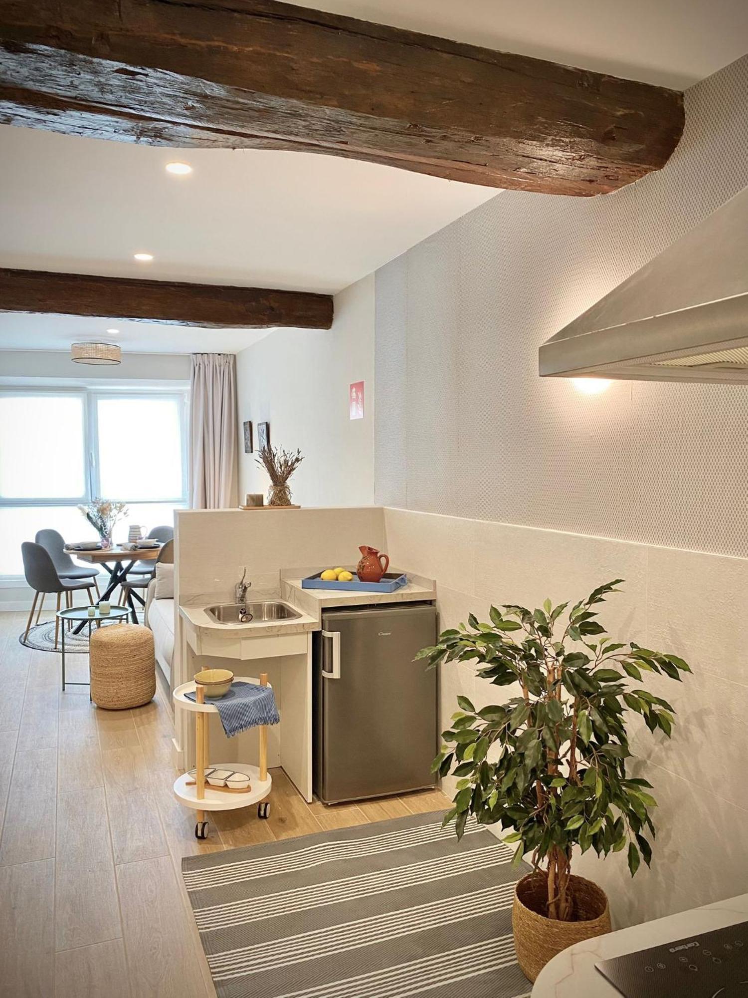 Altzoan Zarauz Tourist Apartments Con Aparcamiento Gratis Luaran gambar